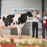 "Albi" a obtenu un doublé : le titre de Prim'Star et celui de Meilleure mamelle en 1ère lactation.