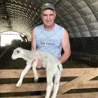 Laurent Laterisse avec son agneau qui porte encore les stigmatesde l’attaque des vautours.