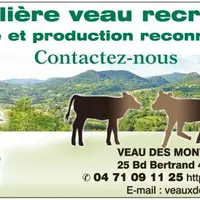 La filière "veau de lait" recrute