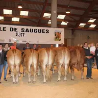 Une présentation très relevée comme ici avec le Prix d’ensemble attribué au Gaec de la Margeride dans le Cantal.