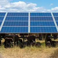 La position de la profession agricole du département en matière de développement photovoltaïque a été  dévoilée lors de la dernière session Chambre d'