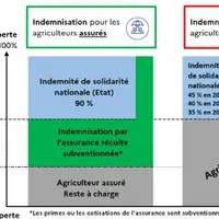 Réforme de la gestion des risques climatiques en agriculture
