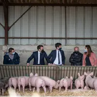 Emmanuel Macron en visite dans une élevage de porcs de Côte d'Or