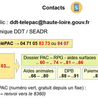 contacts DDT43