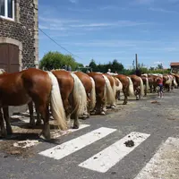 Le concours se tiendra autour de la salle polyvalente de Solignac sur Loire, de 9h à 17h, grâce à l’aide de la mairie de solignac et de Solignac Anima
