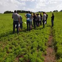 Les producteurs se sont déplacés pour observer ces essais.