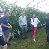 Chez Eric Pauchon, la visite s'est déroulée en présence de deux autres producteurs et du maire de St Julien  Molhesabate. Ici sur une parcelle de fram