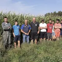 Le maïs ensilage monte en altitude, ici à Saugues.