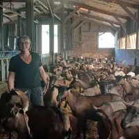 Denise Malaqui, associée du Gaec du Belvédère et responsable de l'atelier caprin.