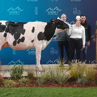 Pink Lady du Gaec de Berthouzis à Lapte remporte les titres de Championne Espoir et Meilleure Mamelle Espoir au Sommet 2021.