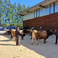 Des bovins de qualité dans les 4 races très applaudis par le public durant deux jours.
