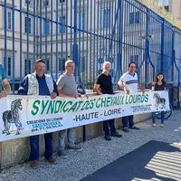 Des éleveurs de chevaux lourds ont rencontré le Préfet de Haute-Loire pour qu'il fasse remonter leurs  revendications auprès du Ministère.