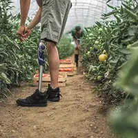 Travailleur handicapé dans une serre.