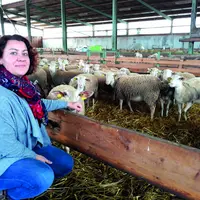 Les associés du Gaec de la Fontaine du Loup élèvent 550 brebis BMC sur 130 ha de SAU et ont un atelier  de volaille Ardévol de 400 m2.