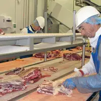 Des investissements sont faits désormais pour améliorer les conditions de travail, tant en élevage qu'en transformation.