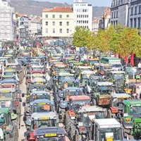 Pas de tracteur le 23 juin mais des vaches, brebis... descendues du Massif central.