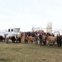 Le Départemental aubrac 2019, une grande cuvée assurément, au cœur de l’Aubrac, emblématique...
