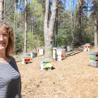 L’apicultrice dans un de ses ruchers, sur les hauteurs de la commune de Rouffiac (canton de Saint-Paul-des-Landes). 
