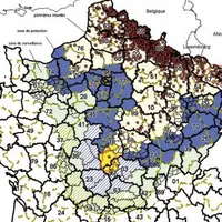 La fièvre catarrhale progresse inexorablement du Nord-ouest vers le Sud de la France. Le nombre de cas a doublé en une semaine.