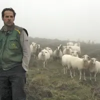 Jérôme Planchot, un producteur d'agneau label rouge et ses quelque 400 brebis, symbole d'un pastoralisme à défendre.