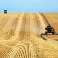 Outre la faiblesse des revenus agricoles en 2016, toutes productions - ou presque - confondues, c’est l’instabilité des cours qui est difficilement gé