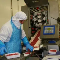 Photo d'archives. Chaîne de production steak haché à Covial (groupe Altitude).