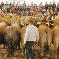 Il y avait beaucoup de monde dans les gradins samedi pour assister aux jugements et aux remises de prix.