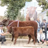 Le Gaec Malacan réalise le grand chelem : prix de championnat femelle jeune, prix de championnat femelle adulte ici avec Natacha et prix d'honneur.