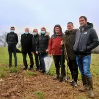 Ce plant de châtaignier, encore tout petit, fait partie des 270 premiers arbres sur 350 prévus pour assurer une forme de diversification.