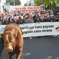 La délégation des 3 000 Cantaliens a eu les honneurs de la tête de cortège.