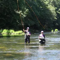 Chaque année, ce sont près de 13 000 cartes de pêche qui sont enregistrées dans le Cantal.