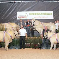 Les quatre Grands prix d’honneur sur un même podium à l’heure de la révélation du palmarès, samedi après-midi.
