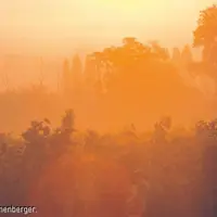 Beaucoup d’incertitudes et de questions entourent encore les problématiques concernant le réchauffement climatique.