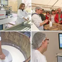 En 40 ans, les acteurs de la recherche, de la formation et les filières fromagères locales se sont dotées d’outils reconnus et performants dont l’une
