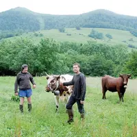 Tout comme son père Jean-Yves, Julien a choisi de devenir berger de bovins dans le cirque de Récusset.