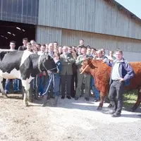 Au lycée agricole, des salers seront coupées du système allaitant. Elles naîtront et seront élevées dans le troupeau laitier.