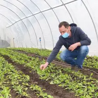 Martin Chwalek a diversifié sa production en s’essayant aux pleurotes cet hiver.
