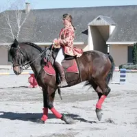 Marie Desodt est en résidence d’artiste au Haras national d’Aurillac depuis le début du mois d’avril et ce, pour deux ans.