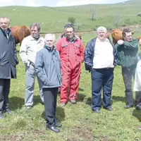Cemac, coopérative du Mézenc, coopérative des Veaux des Monts du Velay... les acteurs de l’UBHA attendent beaucoup de la coopération.
