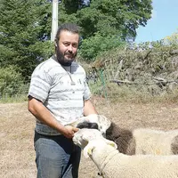 Dimanche 7 août, Loïc Défossez participera au spécial limousin en race ovine. Il y présentera un bélier ainsi que trois brebis adultes pour montrer le