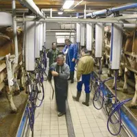 La revalorisation profitera notamment aux producteurs de lait qui s’engagent dans les AOC.