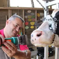 Thierry Gauthier, tondeuse en main, pour la préparation de Prune en compétition au Sommet de l'élevage.