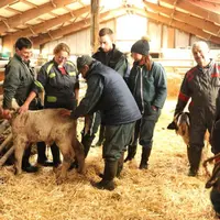 L’objectif de l’intervenant : rendre les éleveurs autonomes avec la santé de leurs animaux.