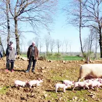Le 27 mars, la section porcine de la FDSEA du Cantal a voulu mettre en avant les perspectives qu’offre la filière en prenant pour support le Gaec des
