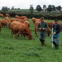 Le Cantal est le premier département français bénéficiaire de la prime à l’herbe.