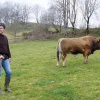 Denis Costerousse est confiant pour le marché au cadran mais prudent sur la situation du marché de la viande bovine.