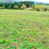 La pression des campagnols terrestres est encore très forte par endroit.