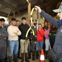 De l'importance de répondre aux besoins de grattage, machouillage, découverte des veaux en parcs, 
expliquée par Pauline Garcia, pendule maison confe