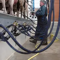 Enfin une bonne nouvelle pour les producteurs de lait.