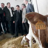 Le chef de l’État : “Je refuse que l’agriculture française soit emportée par la crise”.